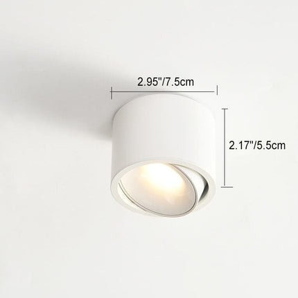 LED Flush Mount Ceiling Light, Round Ceiling Spotlight with Adjustable Head – image 4