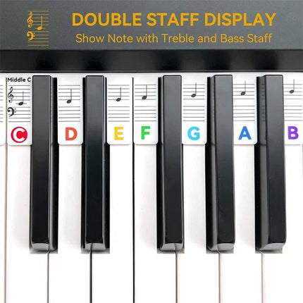 Piano Key Labels for Beginners, Removable Keyboard Note Labels – image 4