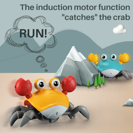 Wind Up Crab Bath Toys, Crawling Crab Toy, Beach Toys, Party Favors for Kids Ages 3 and Up