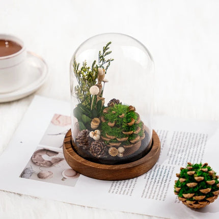 Floral Night Light with Dried Flowers Under Glass Dome | Gentle Ambient Glow for Home Décor and Relaxation