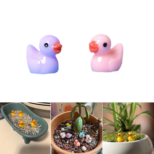 Mini Ducks 50 Pcs