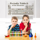 Periodic Table Display with Elements, Acrylic Element Collection, Science Toys, Desk Decor and Gift for Teacher