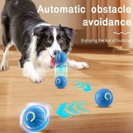 Smart Interactive Moving Ball Toy for Pets with USB Rechargeable Features | Durable Fun for Active Play and Exercise