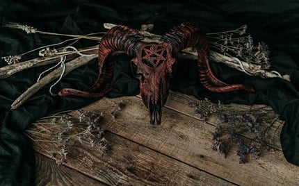 Ram Skull, Hand Carved Resin Skull Decor with Removable Horns – image 10