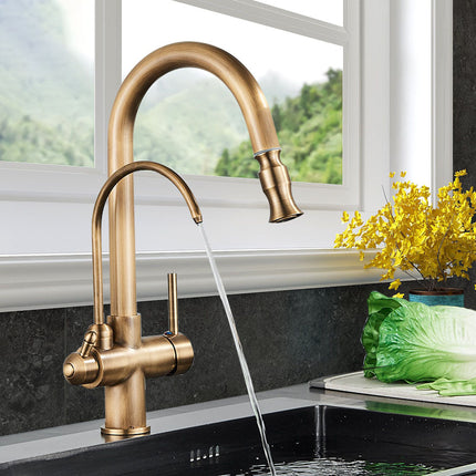 Antique Brass Kitchen Faucet with Sprayer, Water Filter Tap 2 in 1, Pull Out Kitchen Sink Faucet with Two Handles