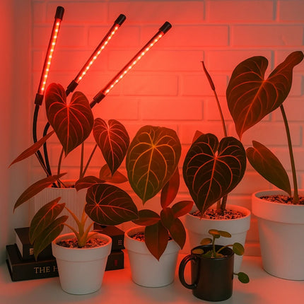 Full-Spectrum Grow Light with Adjustable Gooseneck | Waterproof Design with Timer for Healthy Indoor Plant Growth