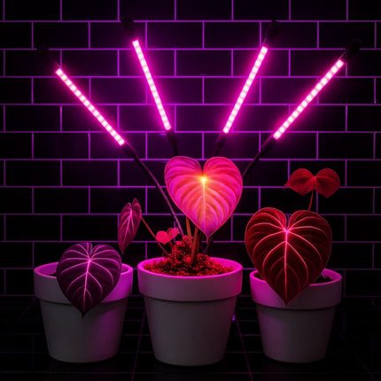 Full-Spectrum Grow Light with Adjustable Gooseneck | Waterproof Design with Timer for Healthy Indoor Plant Growth