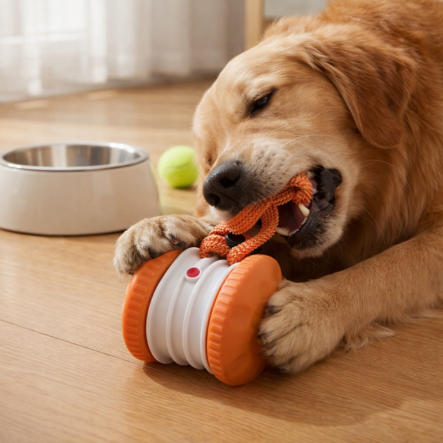 Interactive Dog Ball with Tug Rope, Interactive Dog Toy for Boredom, Durable Dog Toy for Chewers and Active Play