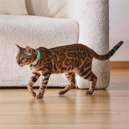 Pet Cat Toy Laser Collar with Adjustable Strap | Durable ABS Design for Endless Fun and Exercise
