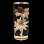 Daisies / Three Lighting Colors