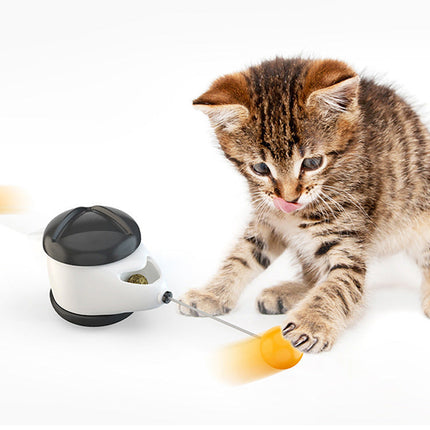 Balance Swing Car Cat Toy with Self-Moving Design | Engaging Play for Active Cats