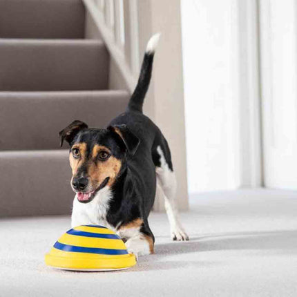 Sound Disc Woof Glider Dog Toy with Built-In Sound | Chew Toy for Entertainment and Bonding