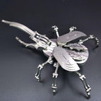 Beetle