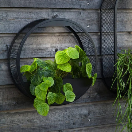 Solar Powered Wall Pot Light with Built-in Plant Holder | Waterproof Outdoor Lighting for Gardens and Patios