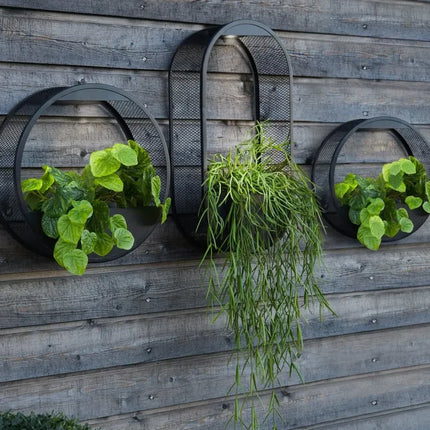 Solar Powered Wall Pot Light with Built-in Plant Holder | Waterproof Outdoor Lighting for Gardens and Patios