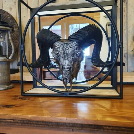 Ram Skull, Animal Skull Decoration – image 8