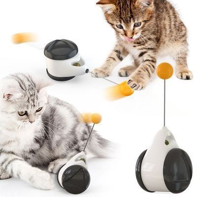 Balance Swing Car Cat Toy with Self-Moving Design | Engaging Play for Active Cats