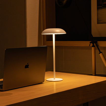 Iron Elegance Lamp with Touch Control and USB-C Rechargeable Battery | Stylish LED Lighting for Home Ambiance