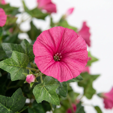 Artificial Morning Glory Flowers, Hanging Fake Flowers for Garden Decor – image 15