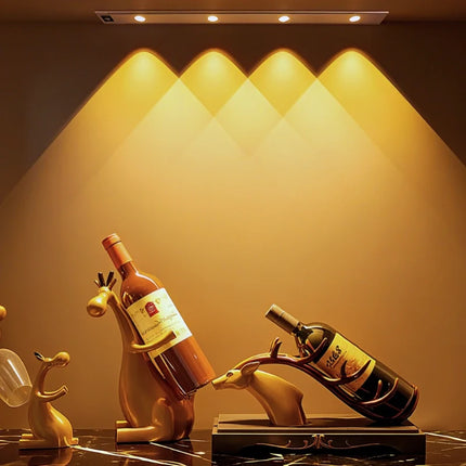 Arc Motion Light with Rechargeable Design & Intelligent Motion Sensor | Elegant Lighting Solution for Modern Spaces