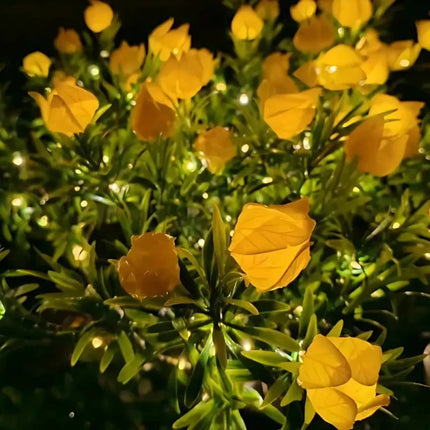 Solar Flower Lights for Garden with Timeless Floral Design | Durable Outdoor Décor for Enchanting Nighttime Glow
