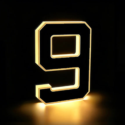Solar House Number Light with Automatic Dusk Sensor | Modern Black Design for Enhanced Nighttime Visibility