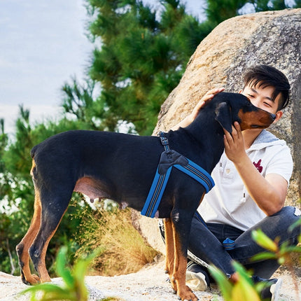 Reflective Dog Harness with Adjustable Straps | Lightweight Mesh Design for Safety During Evening Walks