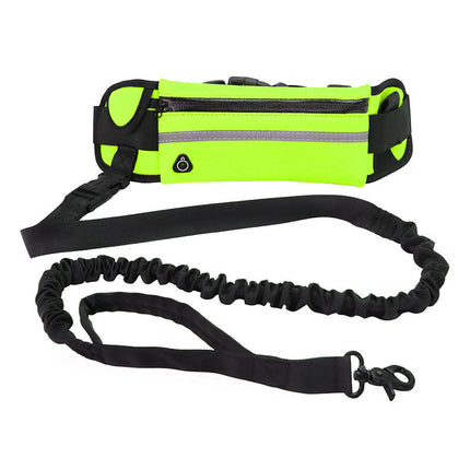 Hands-Free Dog Leash & Training Belt with Adjustable Bungee | Secure Control for Active Walks and Runs