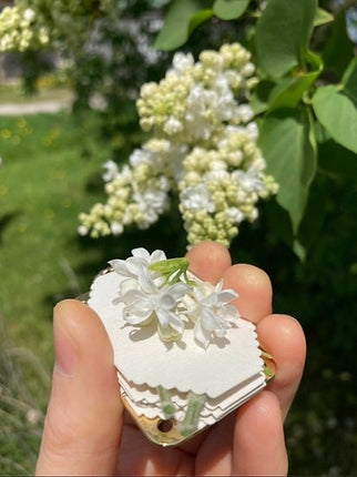 Mini Flower Press with Blotter Paper – image 12