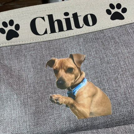 Personalized Dog Toy Storage Basket with Foldable Design | Organized Solution for Your Pet's Toys