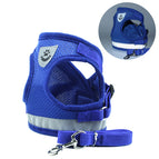 Blue / L