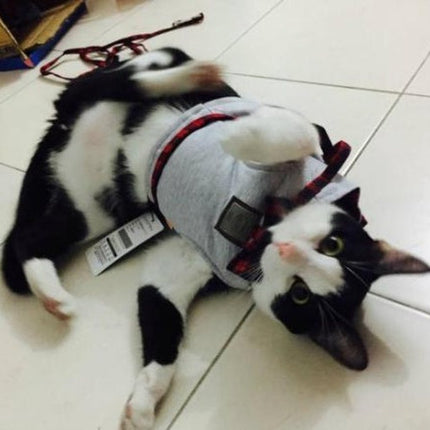 Kitty Cat Harness with Soft Cotton Fabric | Comfortable & Stylish Leash for Everyday Walks