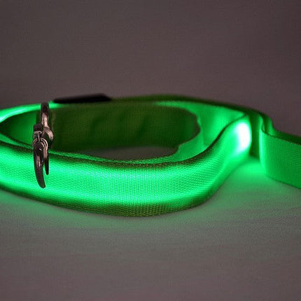 LED Luminous Dog Leash with Rechargeable Lights | Safe Night Walking for All Dog Breeds