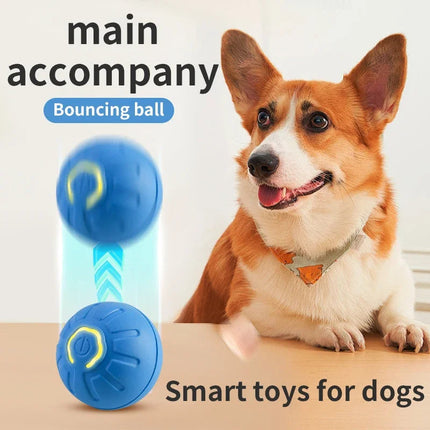 Smart Interactive Moving Ball Toy for Pets with USB Rechargeable Features | Durable Fun for Active Play and Exercise
