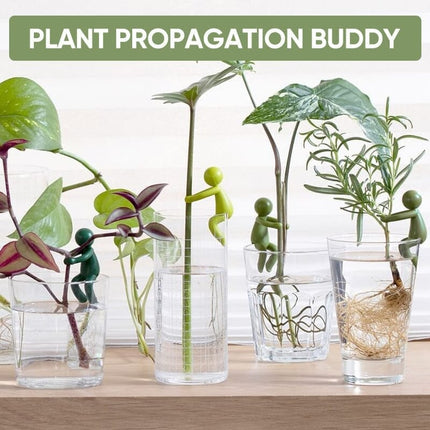 Plant Holders for Water Propagation, Plant Propagation Buddies for Vase or Glass
