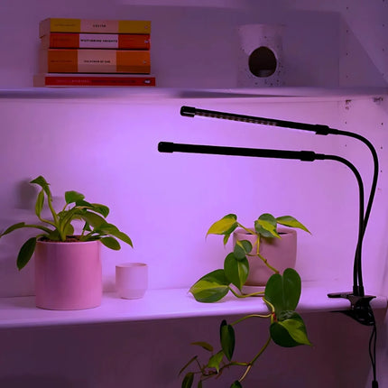 Full-Spectrum Grow Light with Adjustable Gooseneck | Waterproof Design with Timer for Healthy Indoor Plant Growth