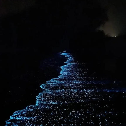 Luminous Glow Pebbles with Light-Absorbing Effect | Waterproof Decorative Stones for Gardens and Aquariums