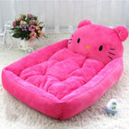 Kitty cat / M