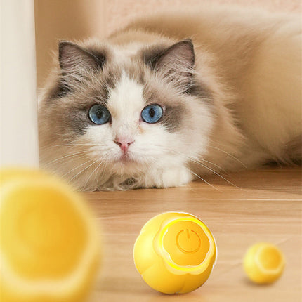 Pet Smart Rolling Ball Cat Toy with Bite-Resistant Design | Interactive Boredom Relief for Cats
