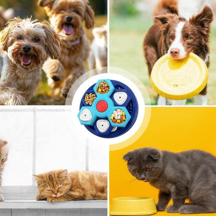 4-Layer Slow Feeder Puzzle Dog Bowl with Non-Slip Design | Interactive Feeding for Healthy Digestion and IQ Training
