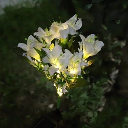 Solar Flower Lights for Garden with Timeless Floral Design | Durable Outdoor Décor for Enchanting Nighttime Glow
