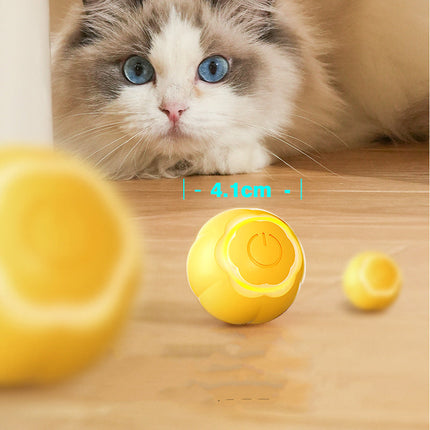 Pet Smart Rolling Ball Cat Toy with Bite-Resistant Design | Interactive Boredom Relief for Cats