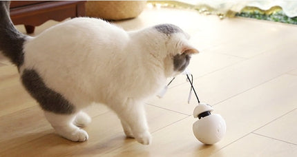 Three-in-One Robot Tumbler Cat Toy with Laser & Wobble Action | Engaging Play for Active Felines