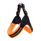 Orange / S