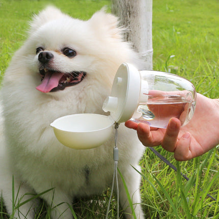 Foldable Pet Drinking Cup with Mushroom Design | 300ml High-Temperature Resistant Bowl for Outdoor Use