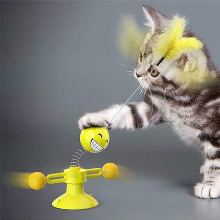 Interactive Cat Toys