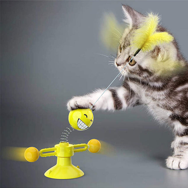 Interactive Cat Toys