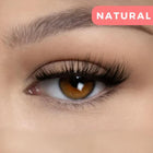 Magnetic False Eyelashes with Lash Applicator – image 5