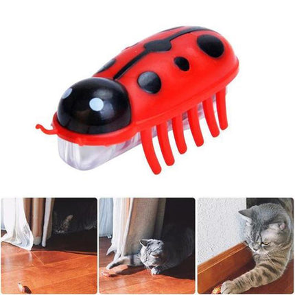 Cat Toys 2 Pack, Robot Bug Interactive Cat Toys – image 4
