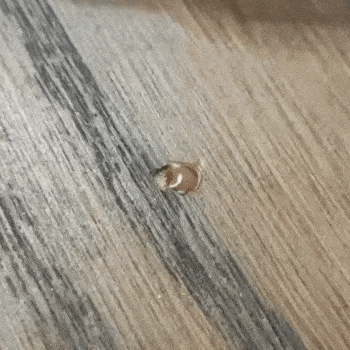 Wood and Laminate Floor Repair Kit – gallery image 10